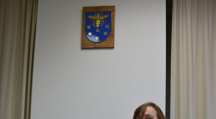 Savivaldybės posėdžių salę puošia siuvinėtas Varėnos herbas
