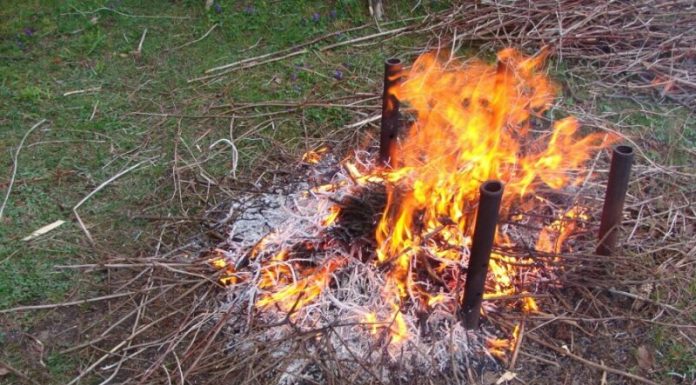Lapus ir šakas mieste deginti draudžiama