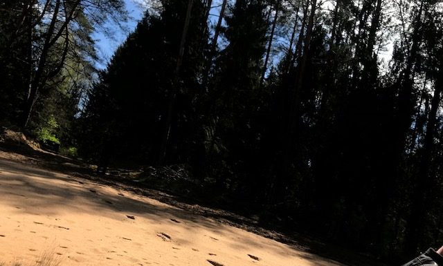 Varėnos rajone pasieniečiai sulaikė du baltarusius, neteisėtai perėjusius valstybės sieną