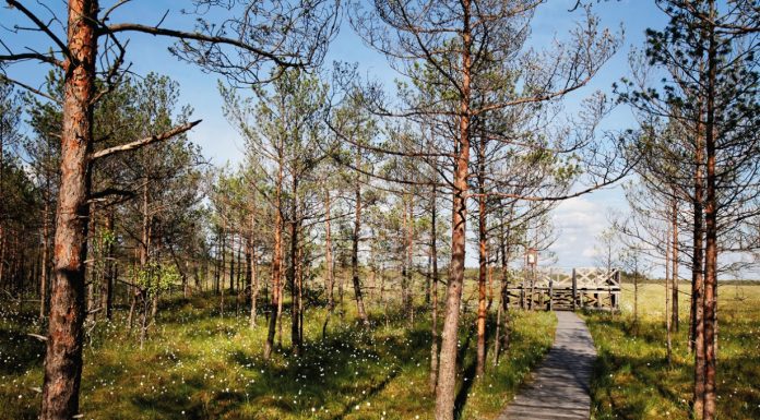 Pakeista lankymosi valstybiniuose gamtiniuose rezervatuose tvarka