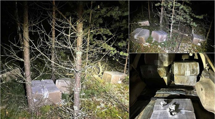 Per didelę operaciją pasieniečiai dėl kontrabandos sulaikė 7 asmenis, 3 iš jų – pareigūnai