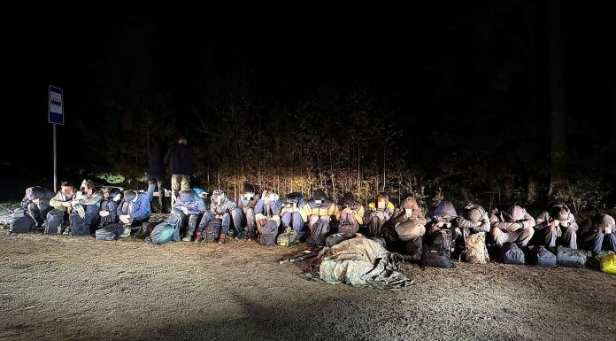 Į Lietuvą besibrovusius 35 migrantus pasieniečiai išgaudė sraigtasparniu ir su šunimis